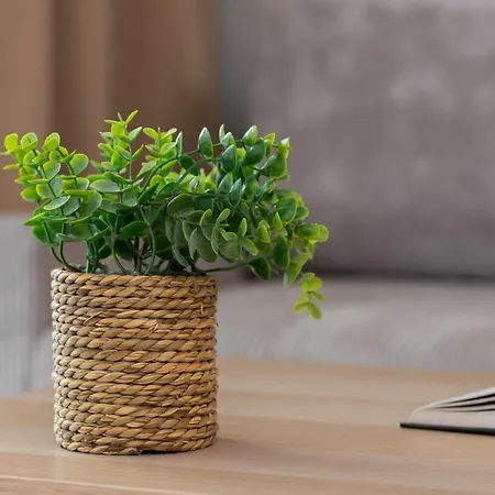 Apartment Bright Mostek In With Balcony 3city By Renters Gdansk